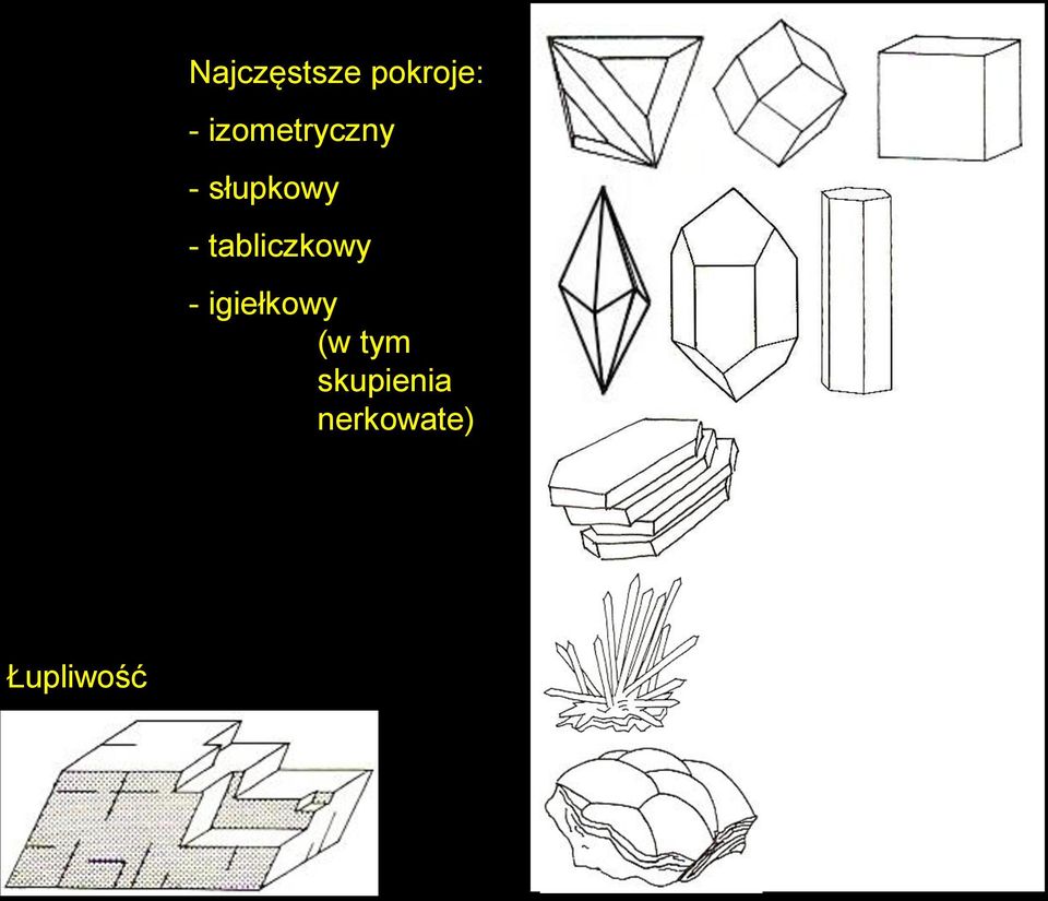 tabliczkowy - igiełkowy (w