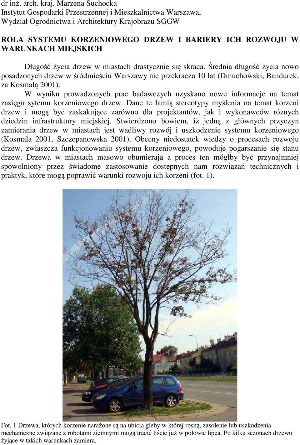 MIEJSKICH Długość życia drzew w miastach drastycznie się skraca. Średnia długość życia nowo posadzonych drzew w śródmieściu Warszawy nie przekracza 10 lat (Dmuchowski, Bandurek, za Kosmalą 2001).