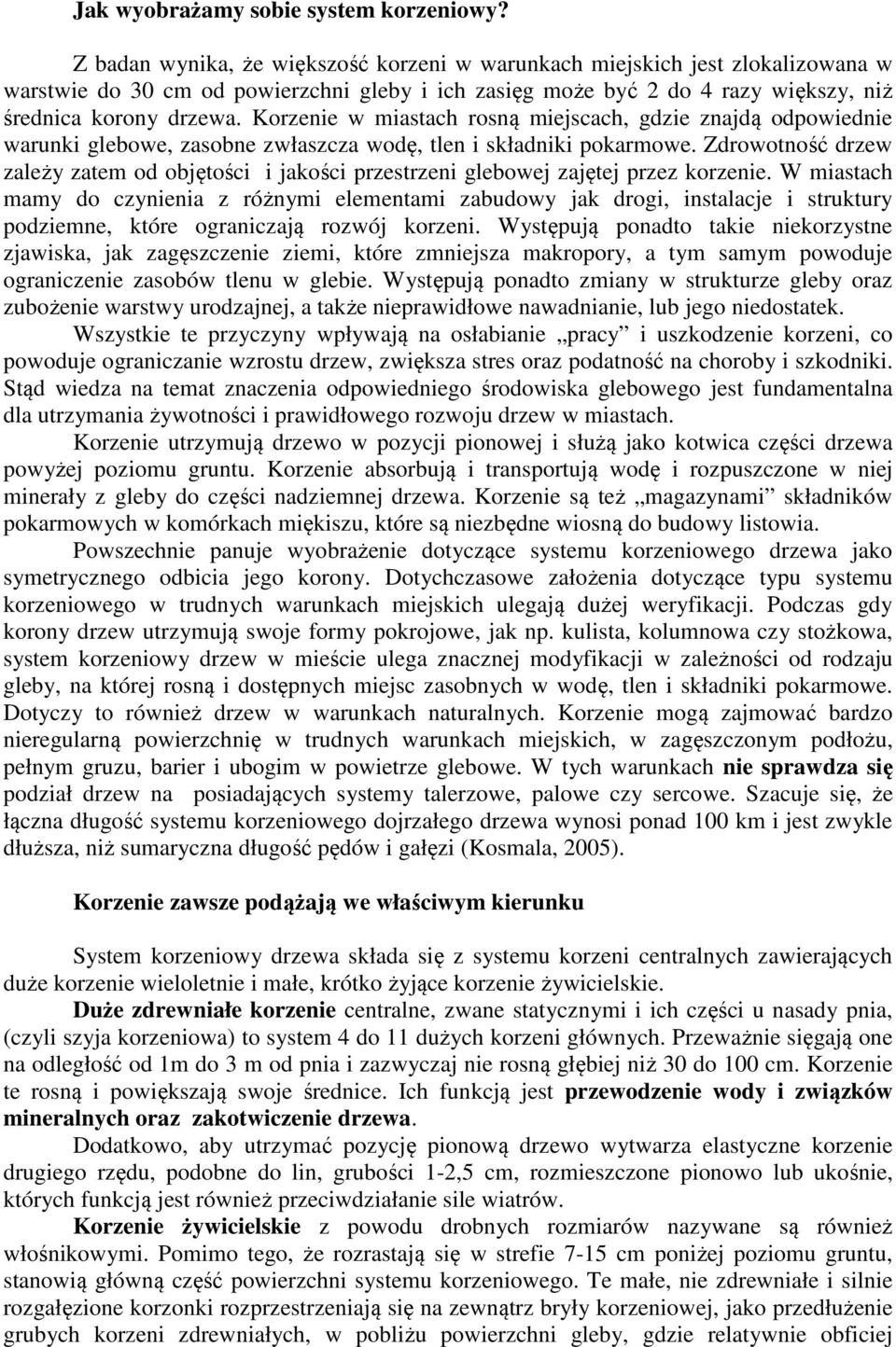 Korzenie w miastach rosną miejscach, gdzie znajdą odpowiednie warunki glebowe, zasobne zwłaszcza wodę, tlen i składniki pokarmowe.