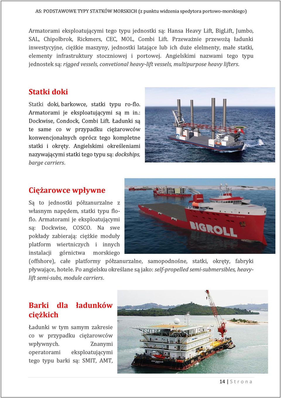 Angielskimi nazwami tego typu jednostek są: rigged vessels, convetional heavy-lift vessels, multipurpose heavy lifters. Statki doki Statki doki, barkowce, statki typu ro-flo.