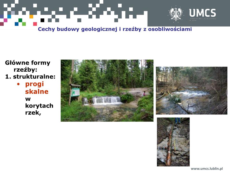 Główne formy rzeźby: 1.