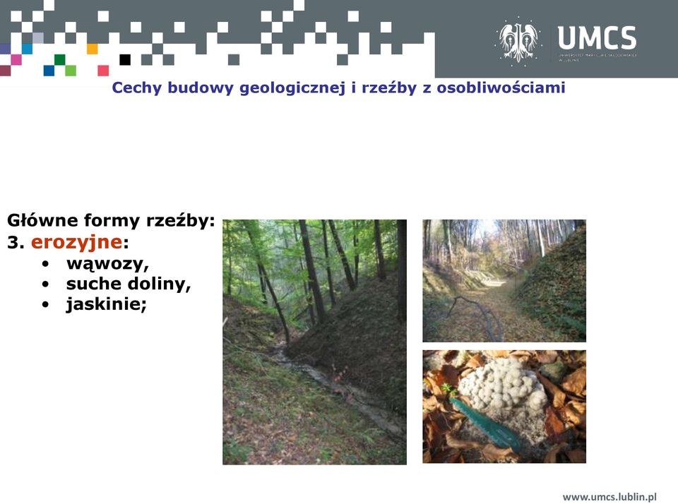 Główne formy rzeźby: 3.