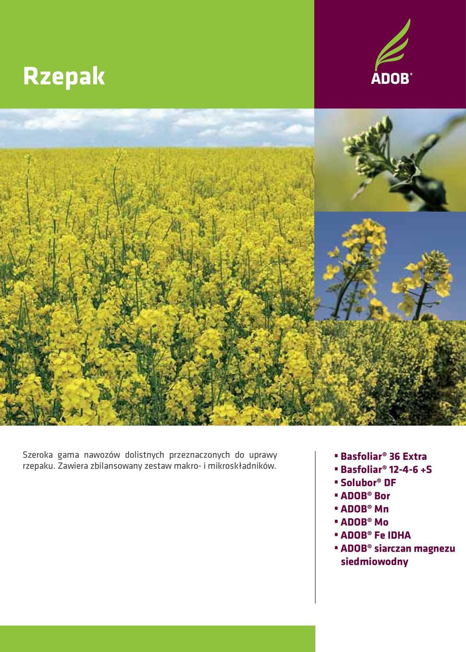 Zawiera zbilansowany zestaw makro- i mikroskładników.