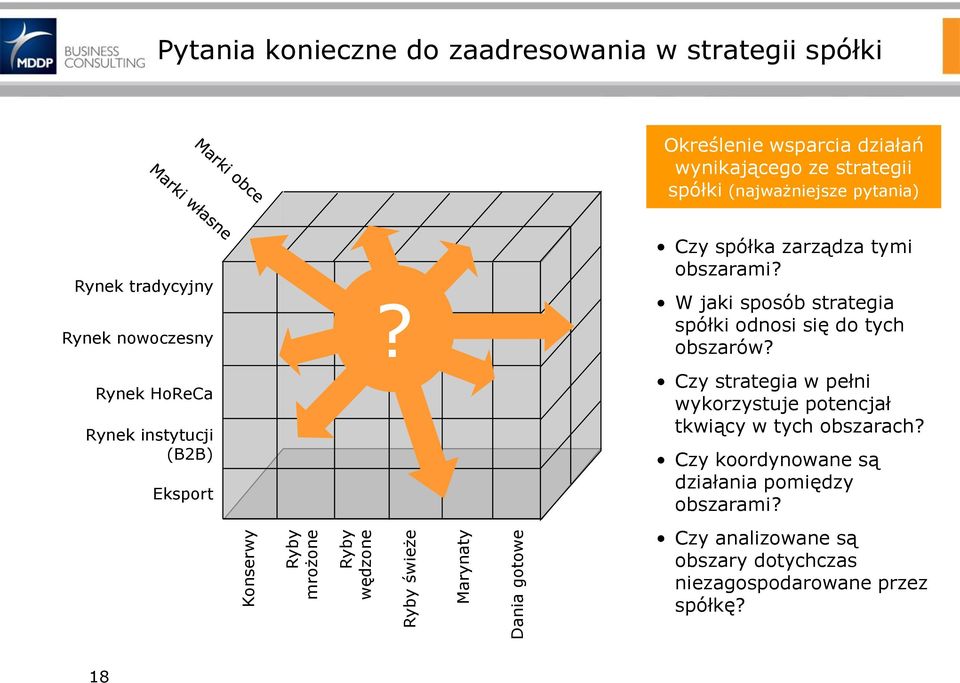 W jaki sposób strategia spółki odnosi się do tych obszarów?