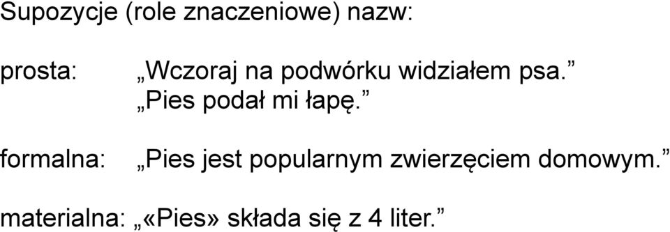 Pies podał mi łapę.