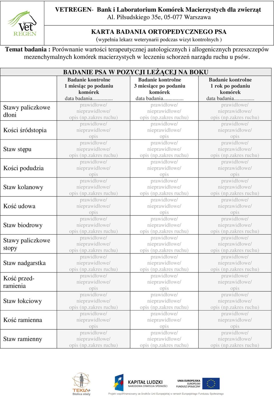 udowa Staw biodrowy Stawy paliczkowe stopy Staw nadgarstka Kość przedramienia Staw