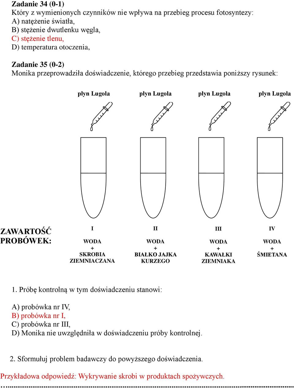 ZIEMNIACZANA II WODA + BIAŁKO JAJKA KURZEGO III WODA + KAWAŁKI ZIEMNIAKA IV WODA + ŚMIETANA 1.