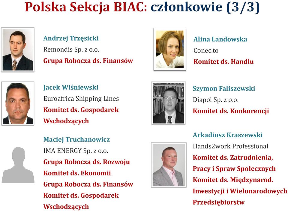 Rozwoju Komitet ds. Ekonomii Grupa Robocza ds. Finansów Komitet ds. Gospodarek Wschodzących Szymon Faliszewski Diapol Sp. z o.o. Komitet ds. Konkurencji Arkadiusz Kraszewski Hands2work Professional Komitet ds.