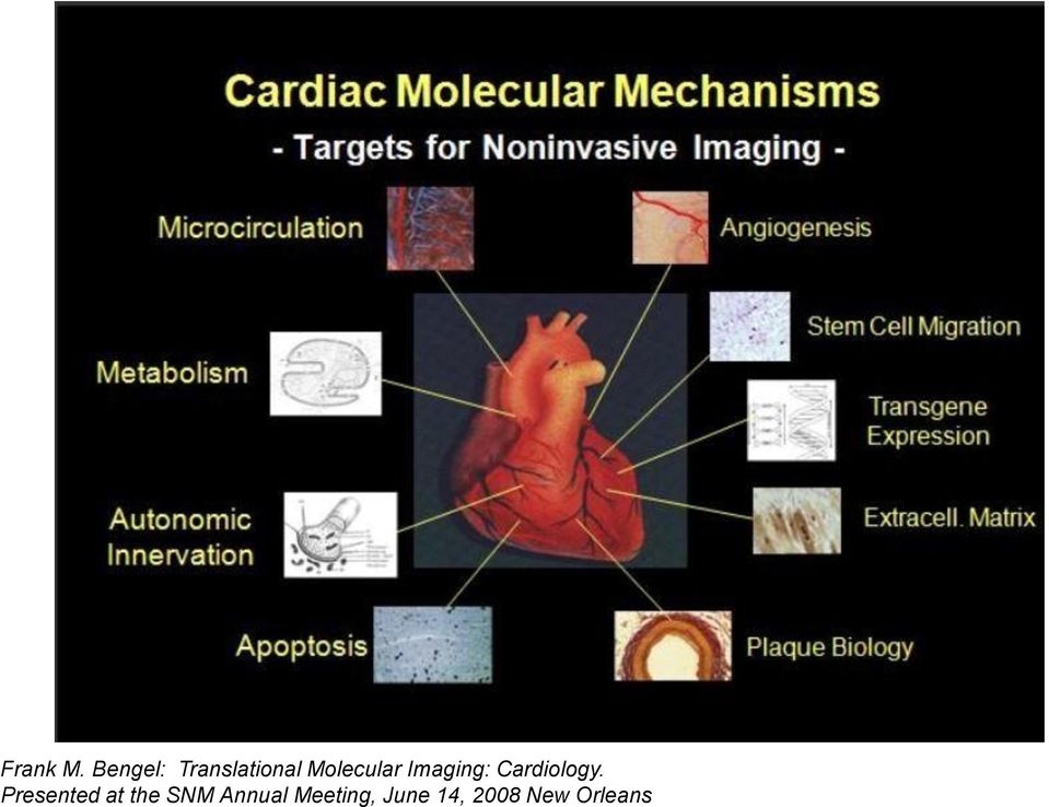 Molecular Imaging: Cardiology.