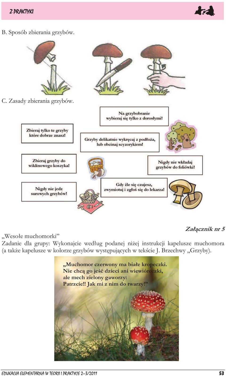 muchomora (a także kapelusze w kolorze grzybów występujących w tekście J. Brzechwy Grzyby).