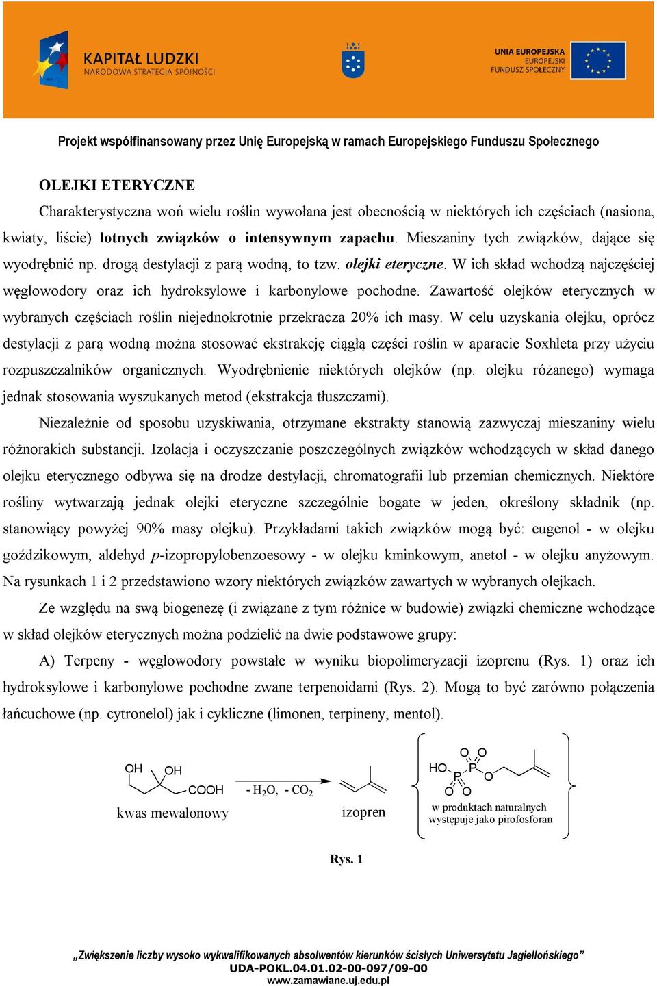 Zawartość olejków eterycznych w wybranych częściach roślin niejednokrotnie przekracza 20% ich masy.