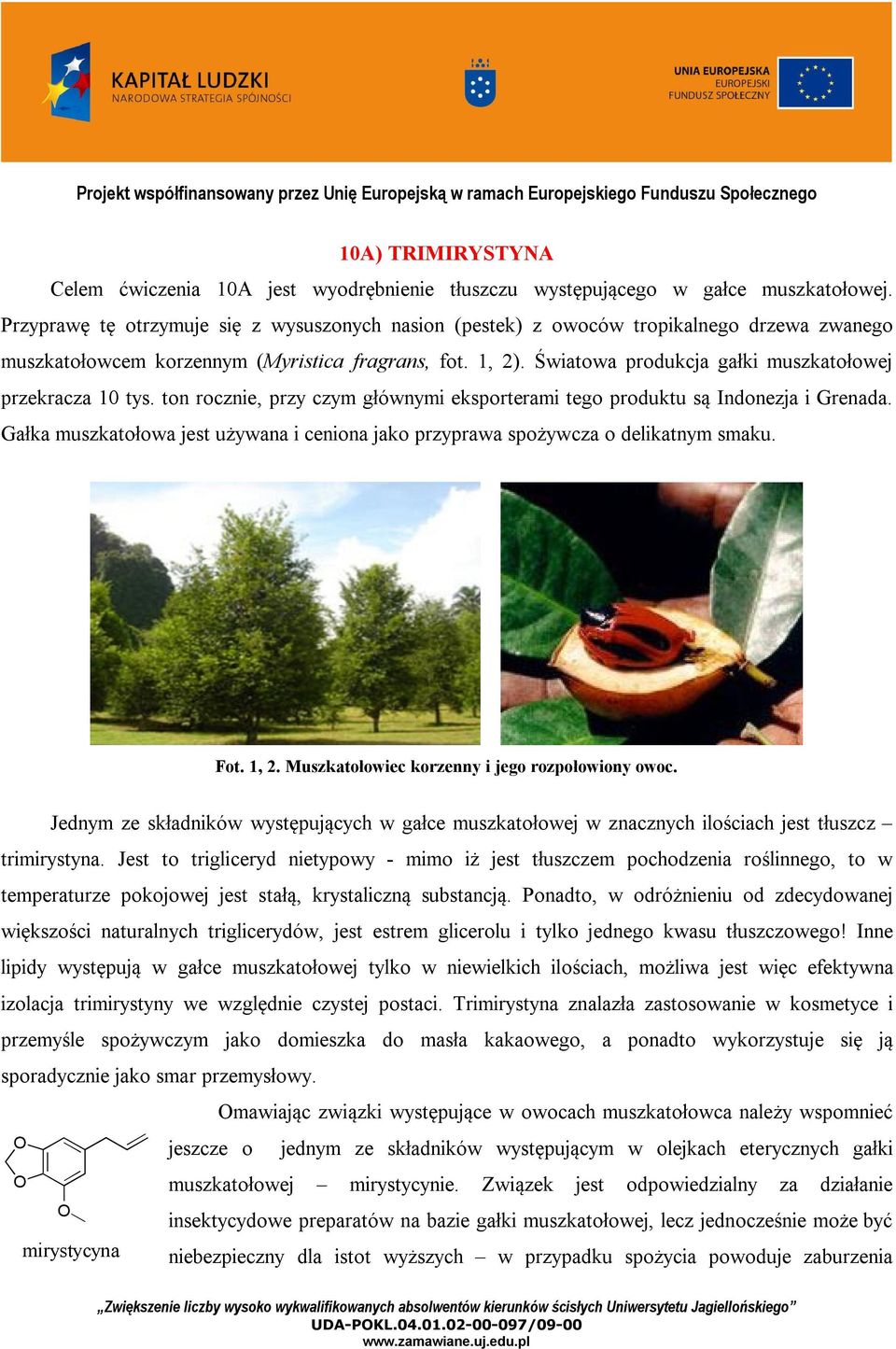 Światowa produkcja gałki muszkatołowej przekracza 10 tys. ton rocznie, przy czym głównymi eksporterami tego produktu są Indonezja i Grenada.