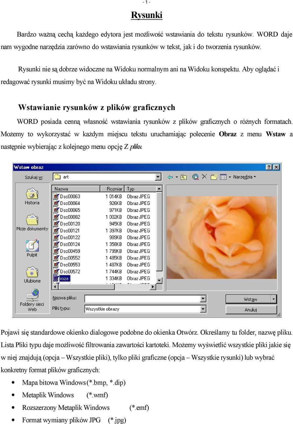 Wstawianie rysunków z plików graficznych WORD posiada cenną własność wstawiania rysunków z plików graficznych o różnych formatach.