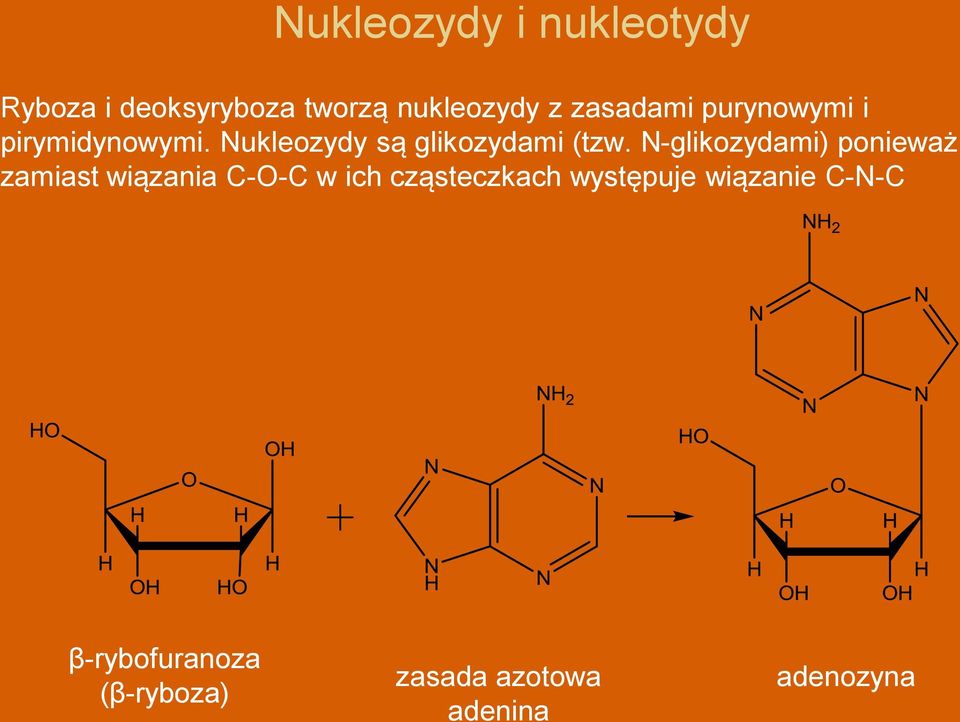 N-glikozydami) ponieważ zamiast wiązania C-O-C w ich cząsteczkach