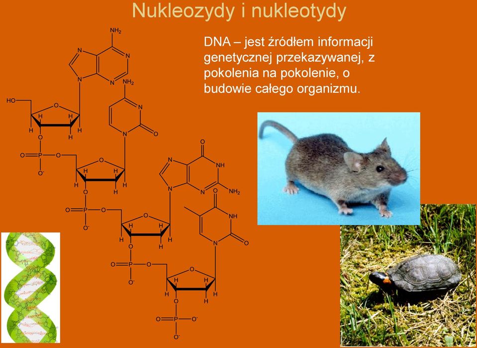 przekazywanej, z pokolenia na