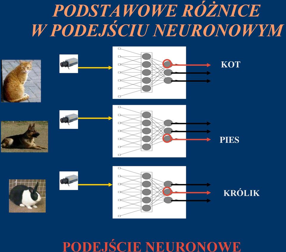 NEURONOWYM KOT PIES