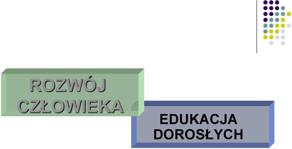 EDUKACJA