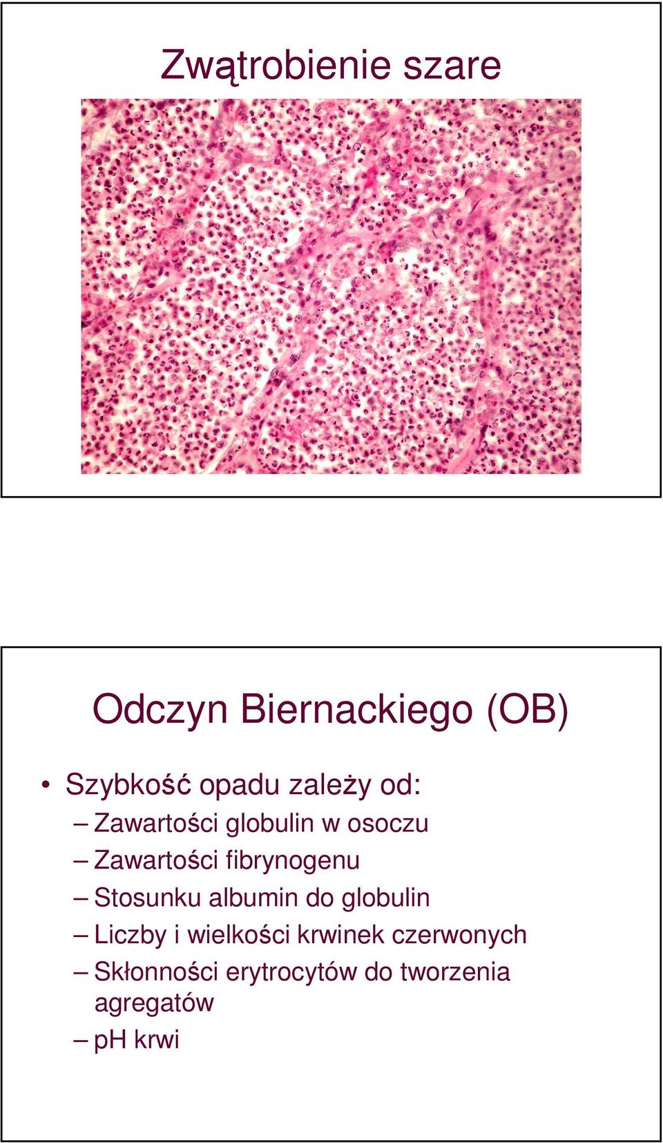 fibrynogenu Stosunku albumin do globulin Liczby i wielkości