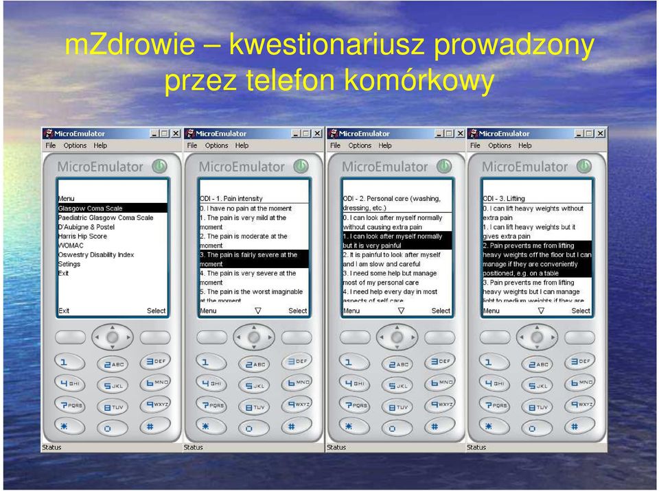 prowadzony