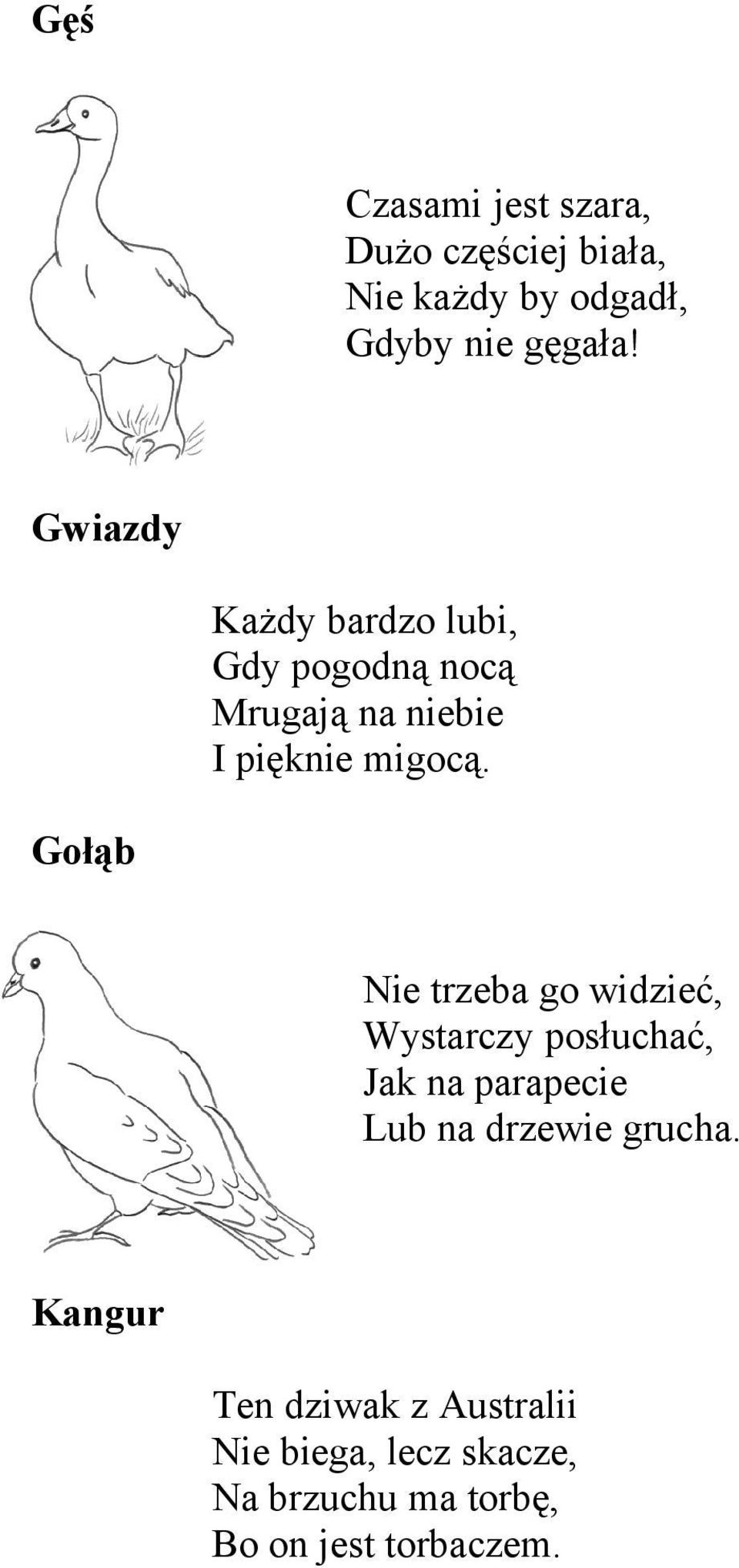 Gołąb Nie trzeba go widzieć, Wystarczy posłuchać, Jak na parapecie Lub na drzewie