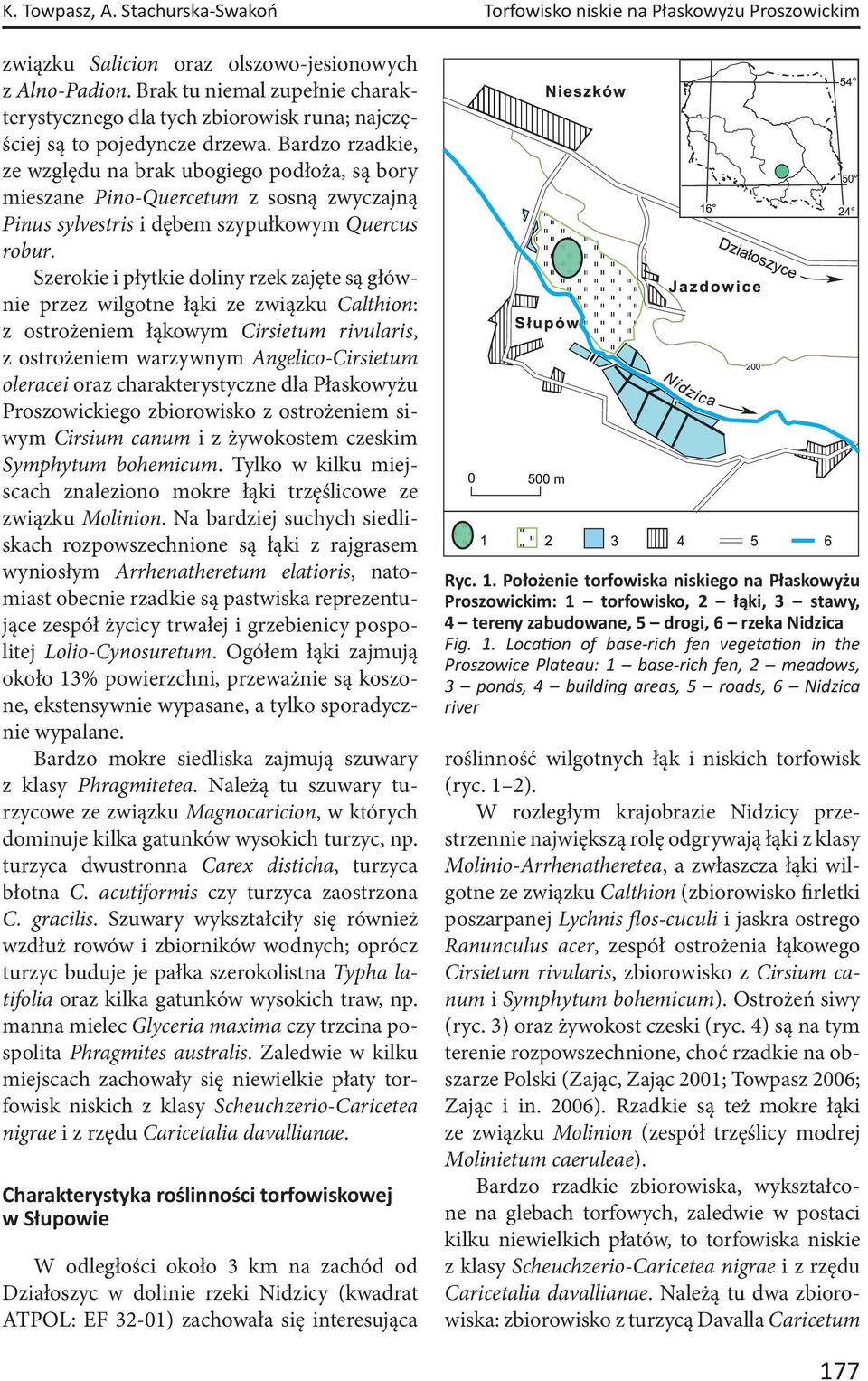 Bardzo rzadkie, ze względu na brak ubogiego podłoża, są bory mieszane Pino-Quercetum z sosną zwyczajną Pinus sylvestris i dębem szypułkowym Quercus robur.