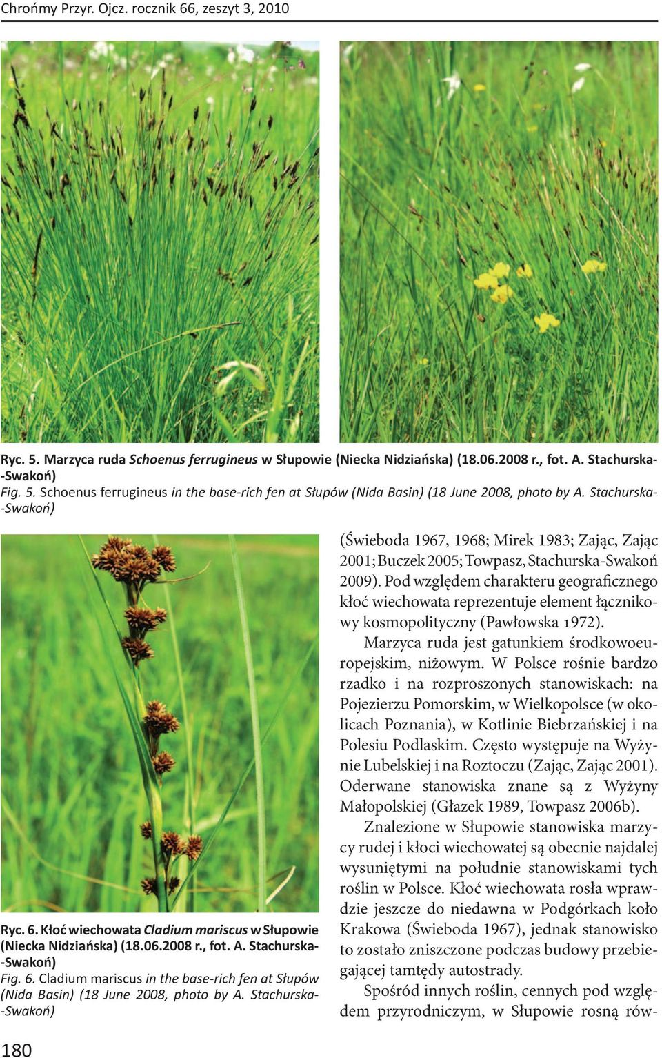 Stachurska- -Swakoń) (Świeboda 1967, 1968; Mirek 1983; Zając, Zając 2001; Buczek 2005; Towpasz, Stachurska-Swakoń 2009).