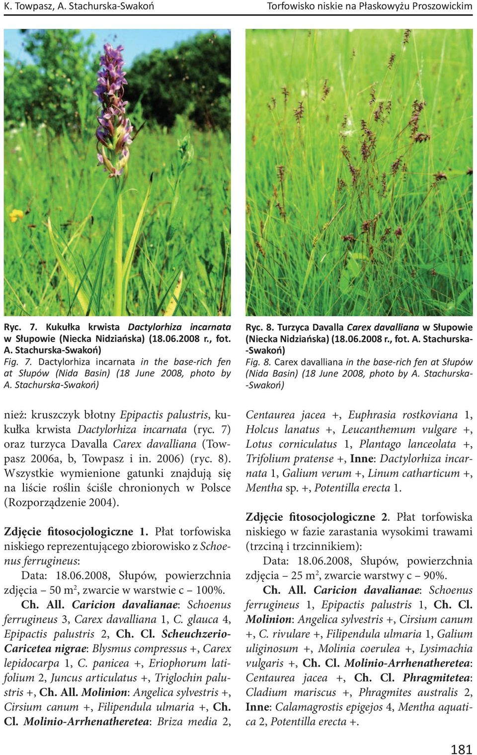Stachurska-Swakoń) nież: kruszczyk błotny Epipactis palustris, kukułka krwista Dactylorhiza incarnata (ryc. 7) oraz turzyca Davalla Carex davalliana (Towpasz 2006a, b, Towpasz i in. 2006) (ryc. 8).