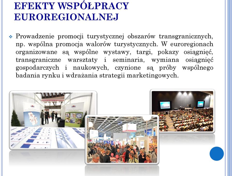 W euroregionach organizowane są wspólne wystawy, targi, pokazy osiągnięć, transgraniczne