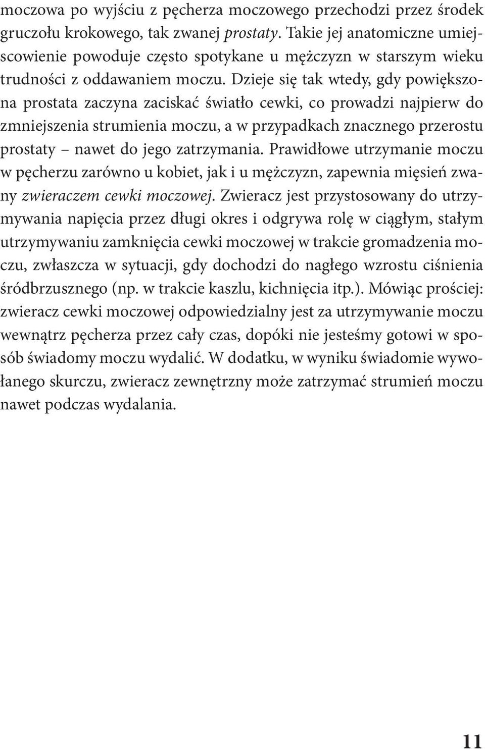 Dzieje się tak wtedy, gdy powiększo - na prostata zaczyna zaciskać światło cewki, co prowadzi najpierw do zmniejszenia strumienia moczu, a w przypadkach znacznego przerostu prostaty nawet do jego