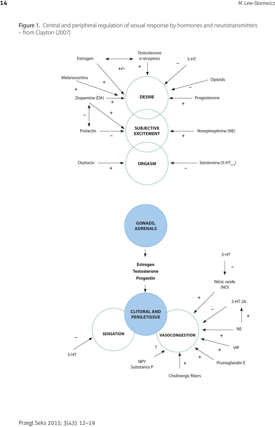 5-HT Melanocortins + + Opioids Dopamine (DA) + DESIRE + Progesterone + Prolactin SUBJECTIVE EXCITEMENT + Norepinephrine (NE) Oxytocin + ORGASM