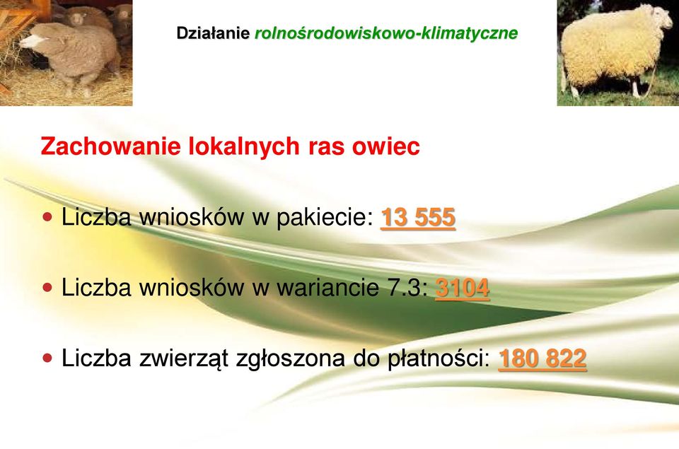 wniosków w wariancie 7.