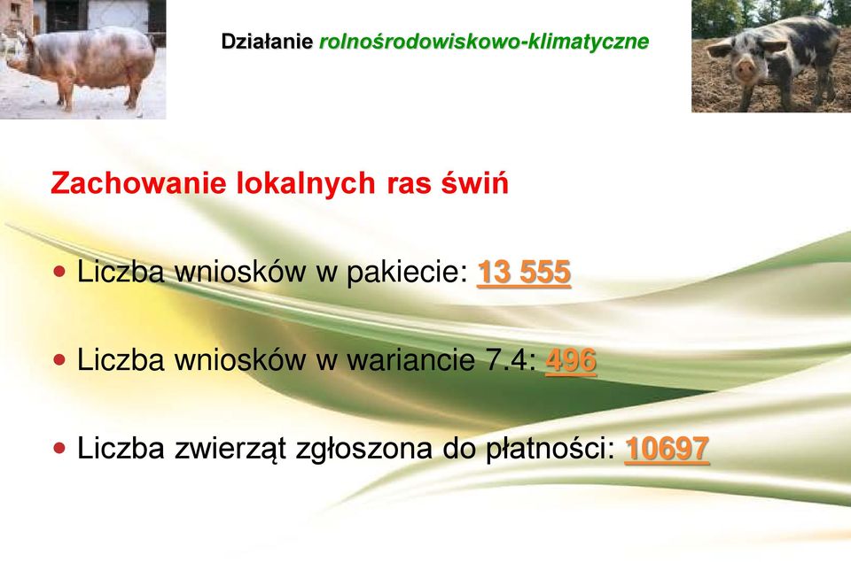 wniosków w wariancie 7.