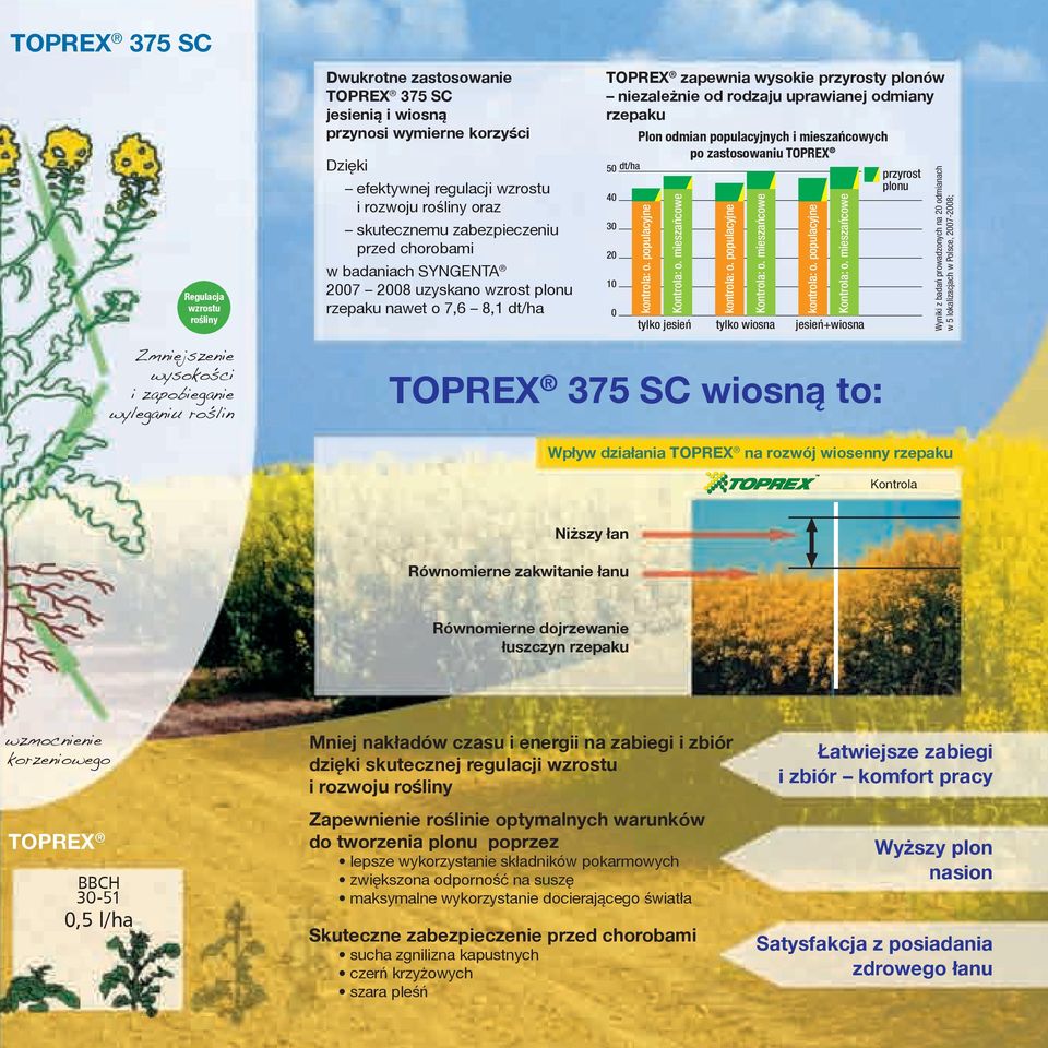 rzepaku 50 dt/ha 40 30 20 10 0 Plon odmian populacyjnych i mieszańcowych po zastosowaniu Toprex kontrola: o. populacyjne Kontrola: o. mieszańcowe tylko jesień kontrola: o. populacyjne Kontrola: o. mieszańcowe tylko wiosna kontrola: o.