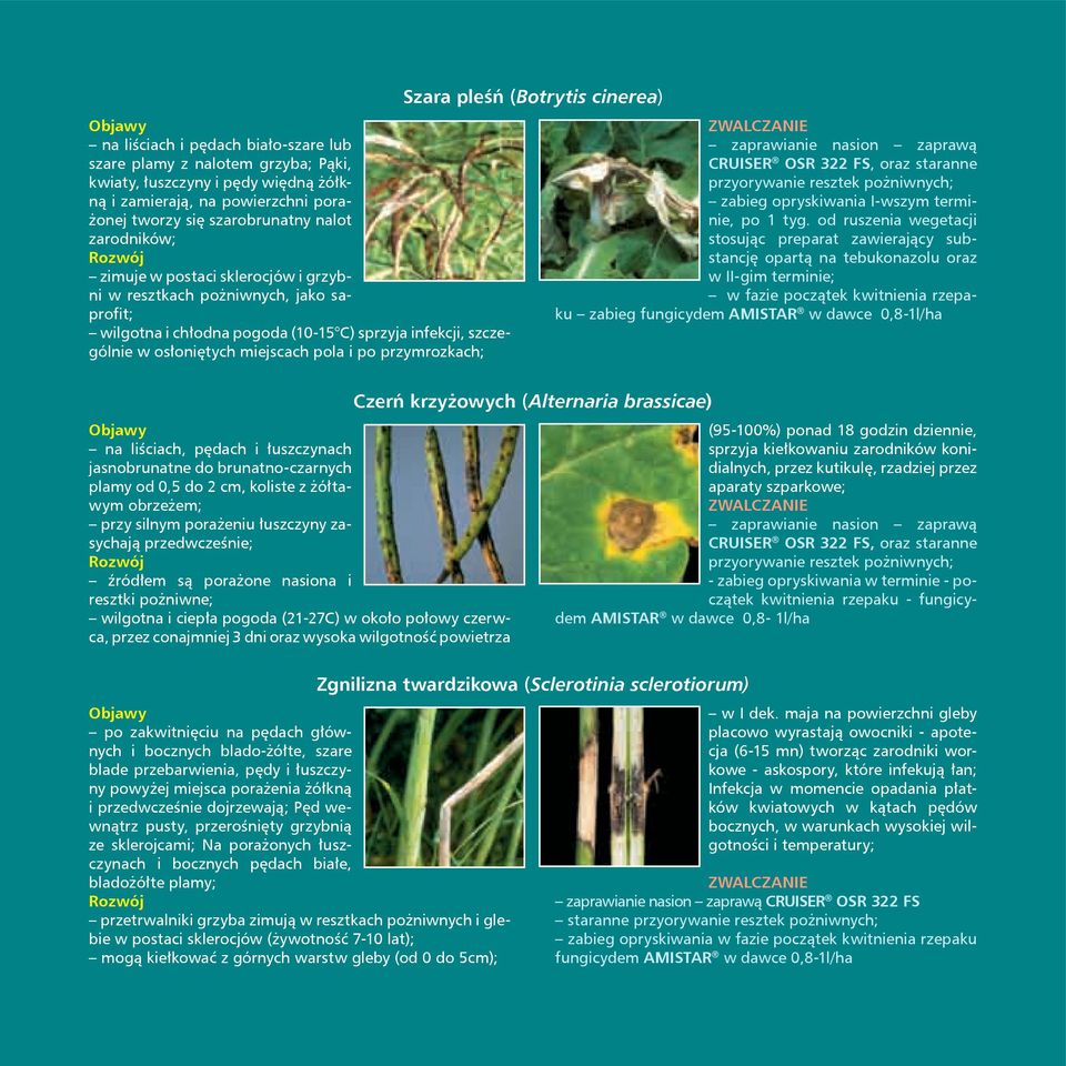 Szara pleśń (Botrytis cinerea) Zwalczanie zaprawianie nasion zaprawą CRUISER OSR 322 FS, oraz staranne przyorywanie resztek pożniwnych; zabieg opryskiwania I-wszym terminie, po 1 tyg.