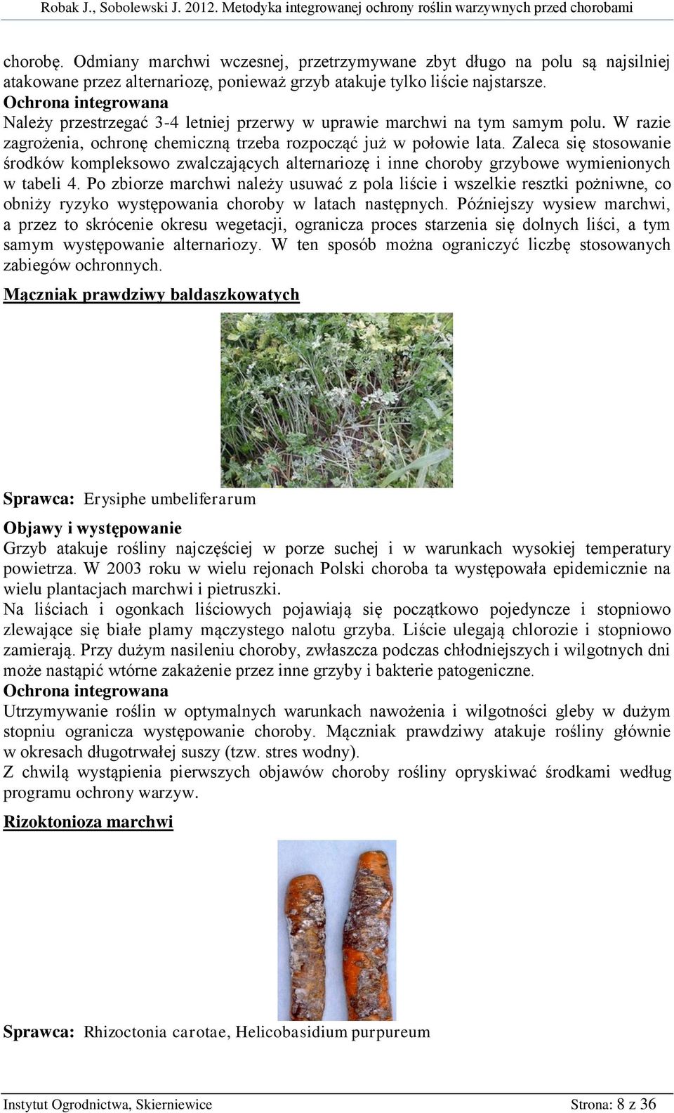 Zaleca się stosowanie środków kompleksowo zwalczających alternariozę i inne choroby grzybowe wymienionych w tabeli 4.