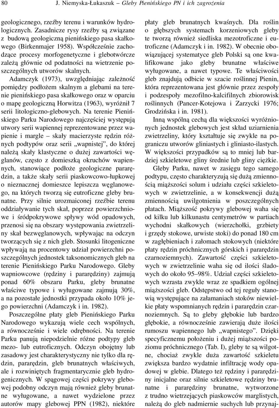 Współcześnie zachodzące procesy morfogenetyczne i glebotwórcze zależą głównie od podatności na wietrzenie poszczególnych utworów skalnych.