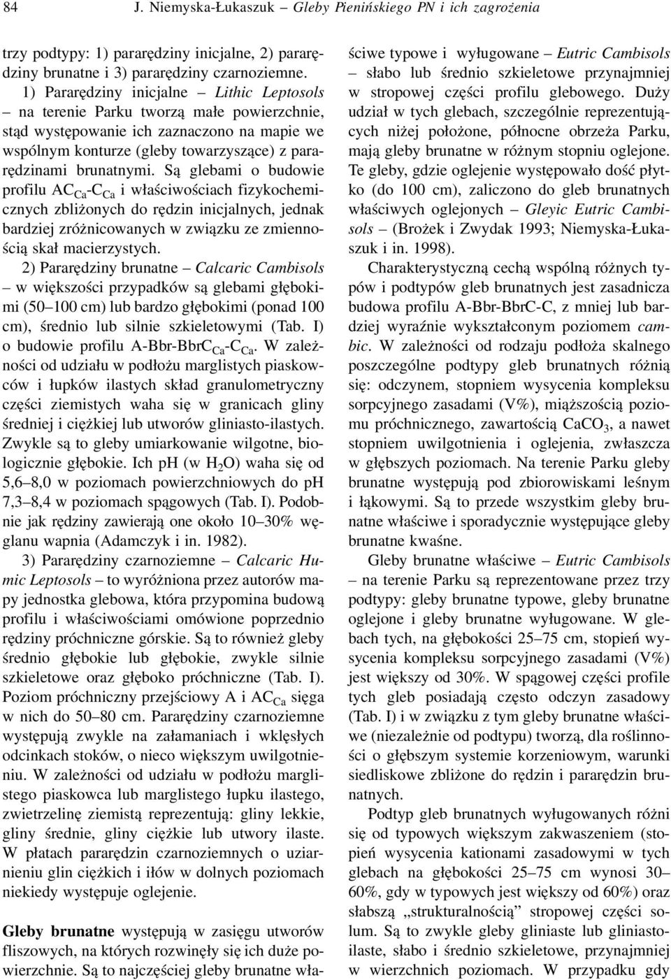 Są glebami o budowie profilu AC Ca -C Ca i właściwościach fizykochemicznych zbliżonych do rędzin inicjalnych, jednak bardziej zróżnicowanych w związku ze zmiennością skał macierzystych.