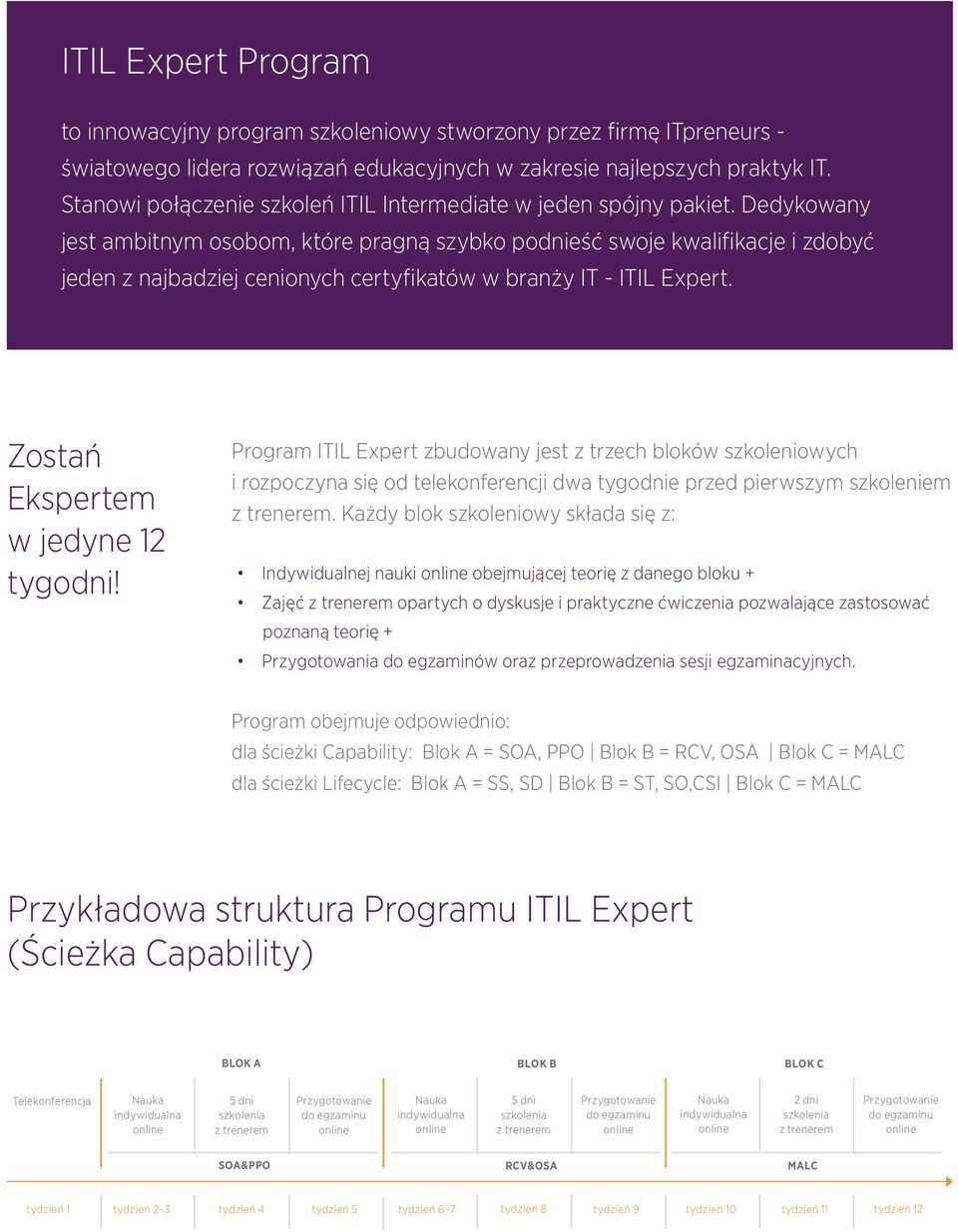 Dedykowany jest ambitnym osobom, które pragną szybko podnieść swoje kwalifikacje i zdobyć jeden z najbadziej cenionych certyfikatów w branży IT - ITIL Expert. Zostań Ekspertem w jedyne 12 tygodni!