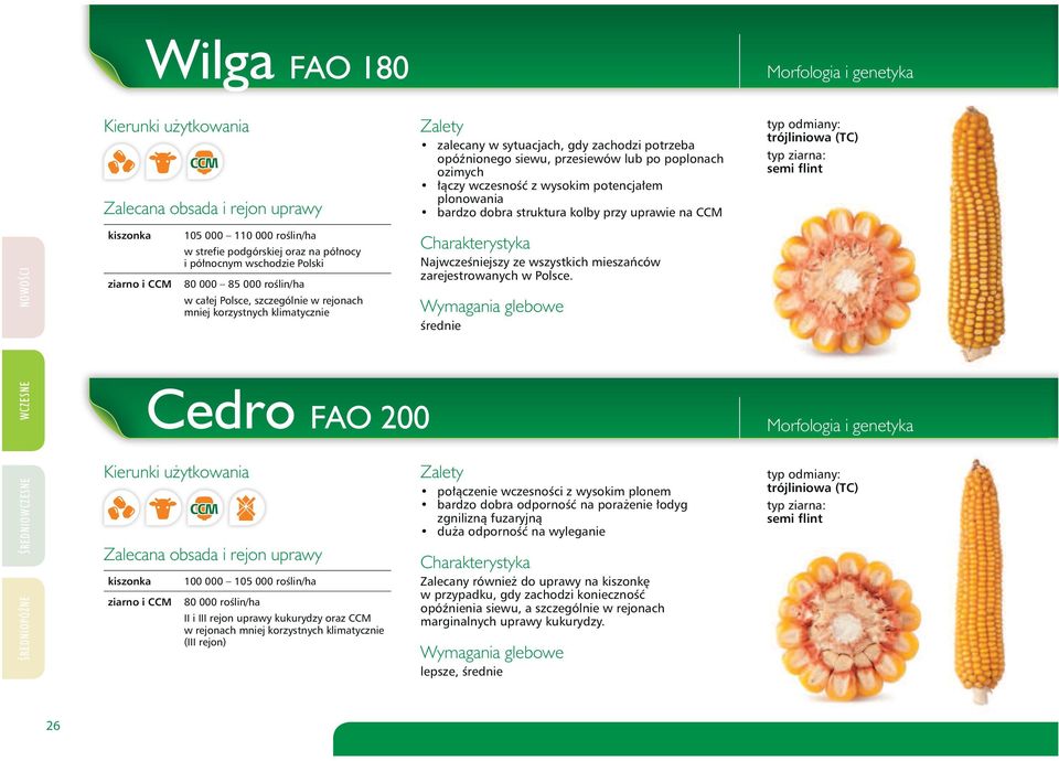 000 85 000 roślin/ha w całej Polsce, szczególnie w rejonach mniej korzystnych klimatycznie Zalecana obsada i rejon uprawy Cedro FAO 200 100 000 105 000 roślin/ha 80 000 roślin/ha II i III rejon