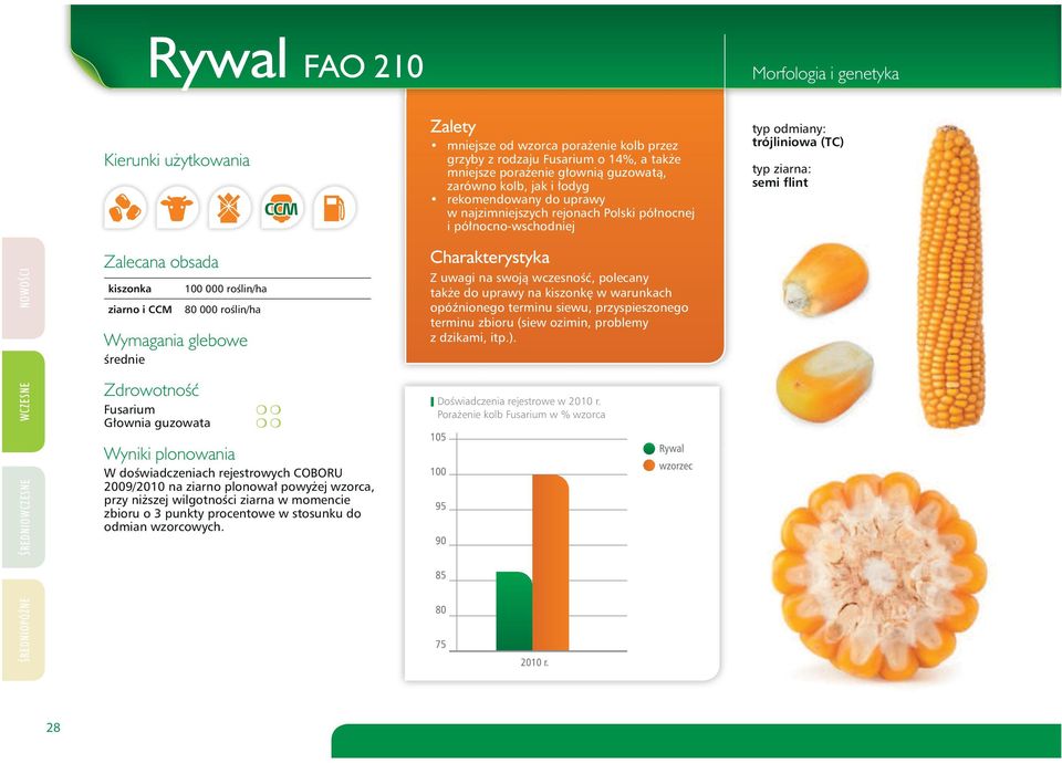 Wyniki plonowania W doświadczeniach rejestrowych COBORU 2009/2010 na ziarno plonował powyżej wzorca, przy niższej wilgotności ziarna w momencie zbioru o 3 punkty procentowe w stosunku do odmian