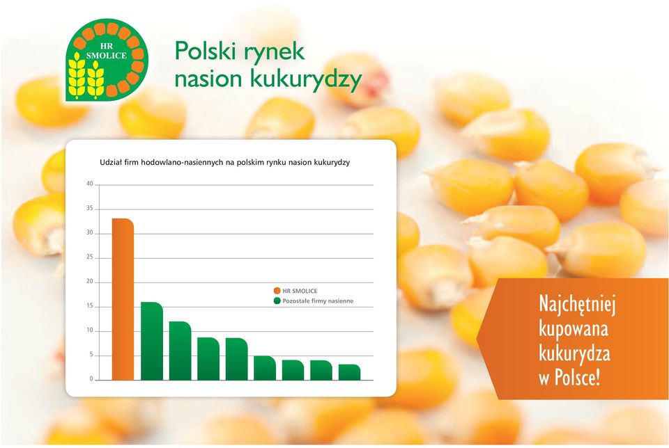 na polskim rynku nasion kukurydzy