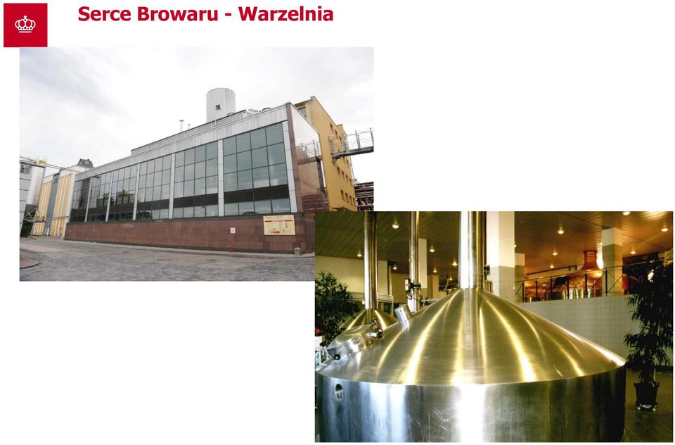 Warzelnia