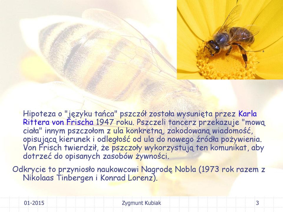 odległość od ula do nowego źródła pożywienia.