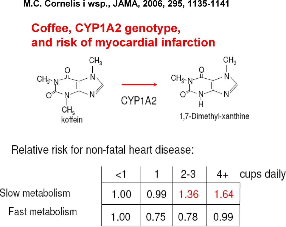 1135-1141 Coffee, CYP1A2