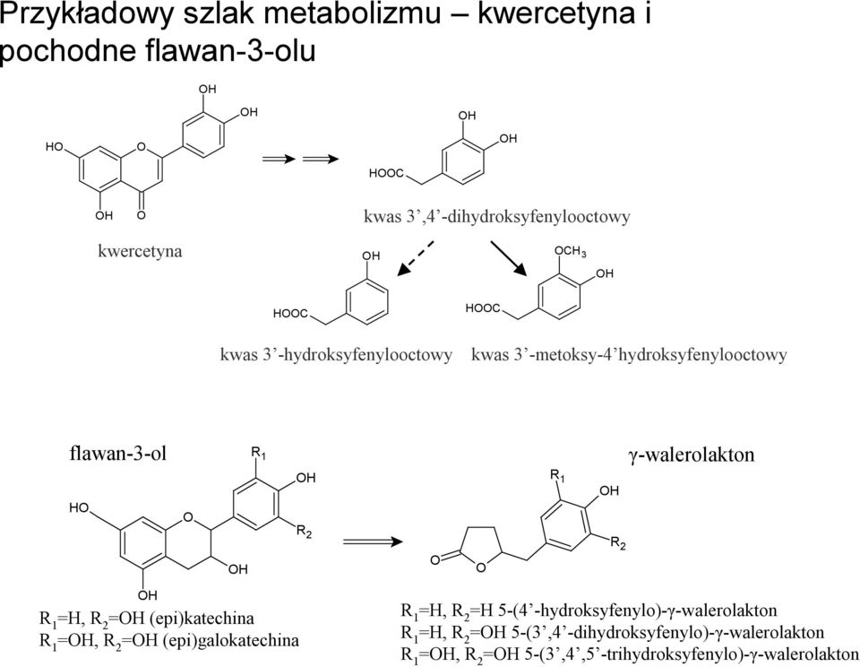 γ-walerolakton R 1 =H, R 2 = (epi)katechina R 1 =, R 2 = (epi)galokatechina R 1 =H, R 2 =H 5-(4