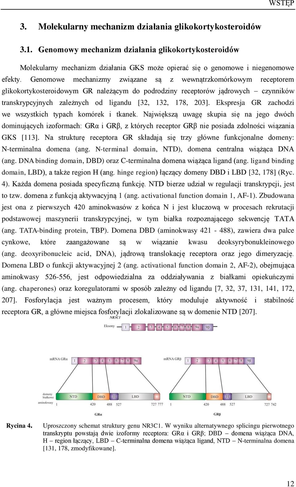 Genomowe mechanizmy związane są z wewnątrzkomórkowym receptorem glikokortykosteroidowym GR należącym do podrodziny receptorów jądrowych czynników transkrypcyjnych zależnych od ligandu [32, 132, 178,