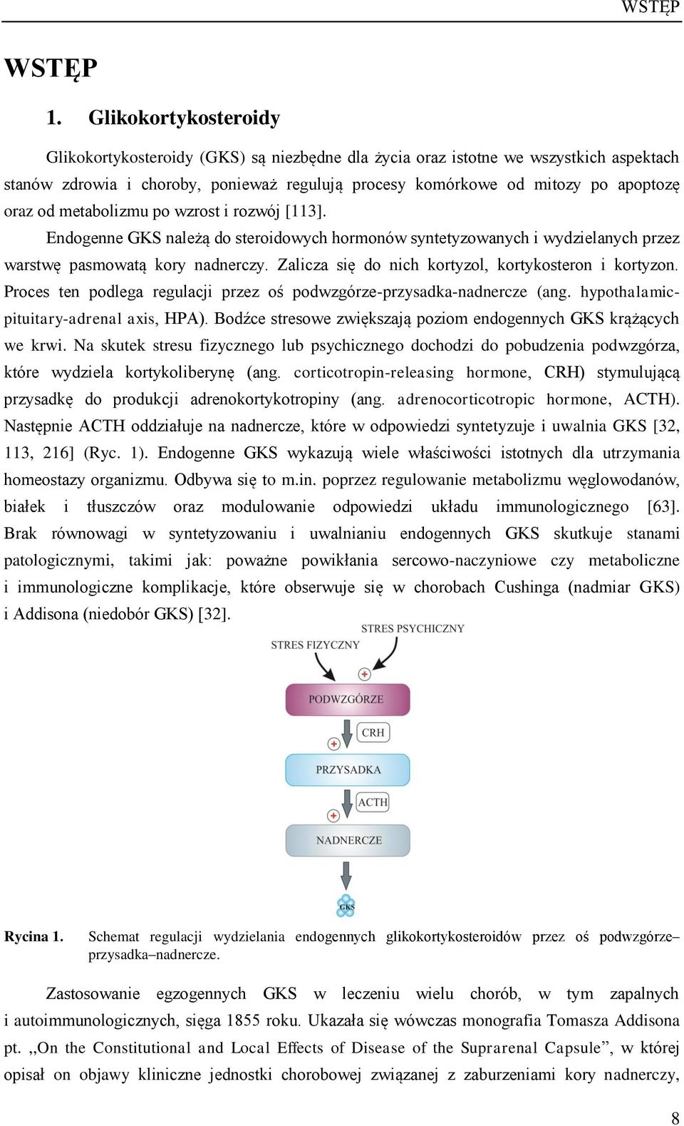 metabolizmu po wzrost i rozwój [113]. Endogenne GKS należą do steroidowych hormonów syntetyzowanych i wydzielanych przez warstwę pasmowatą kory nadnerczy.