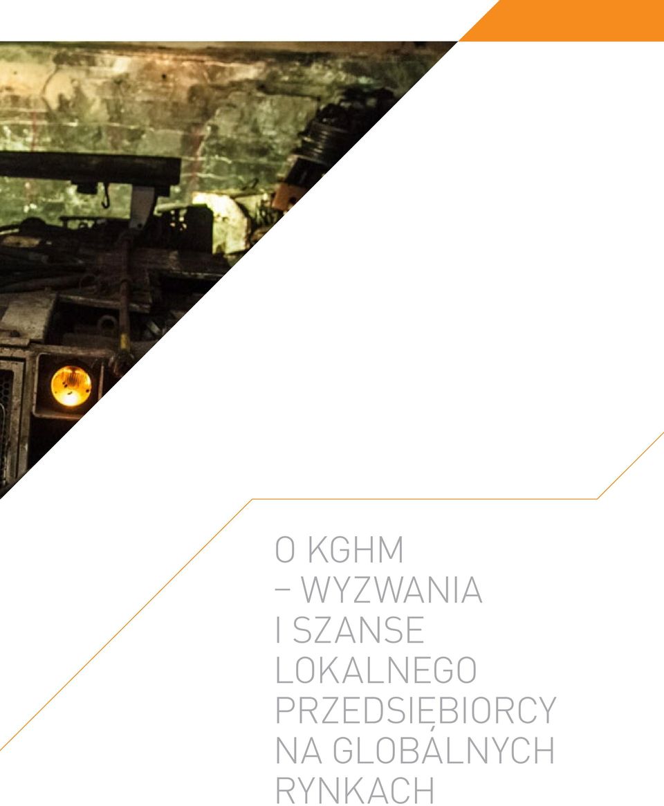 PRZEDSIĘBIORCY NA