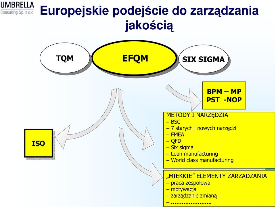 narzędzi FMEA QFD Six sigma Lean manufacturing World class