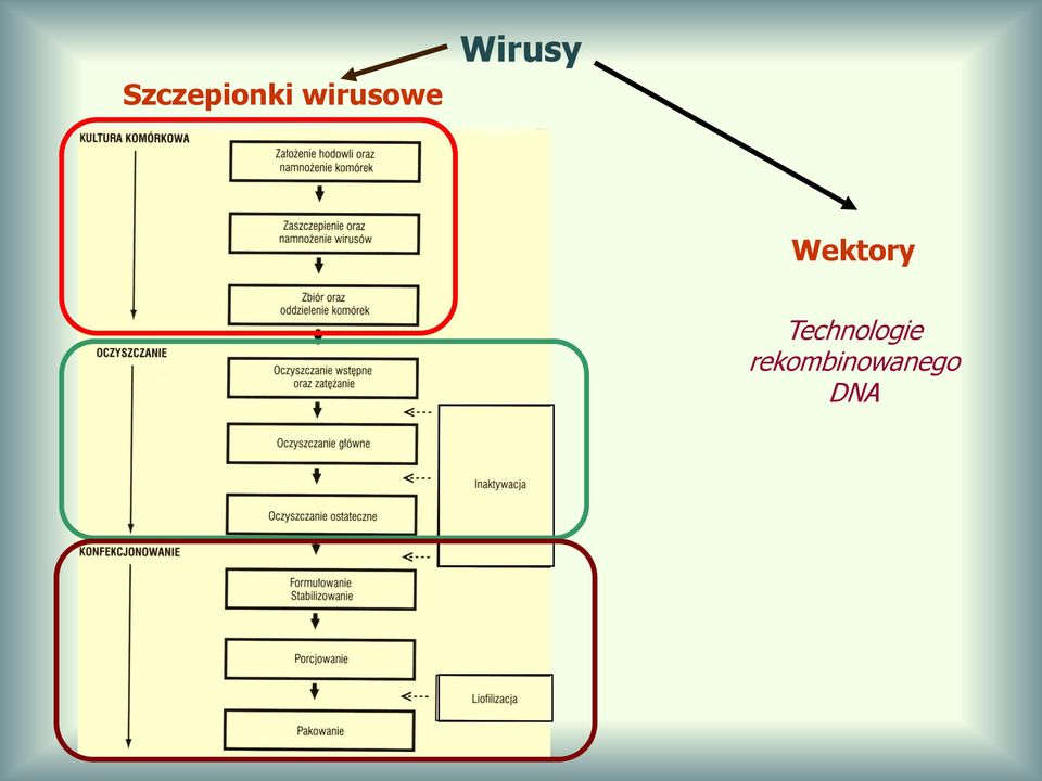 Wektory